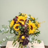 sensational sunflowers